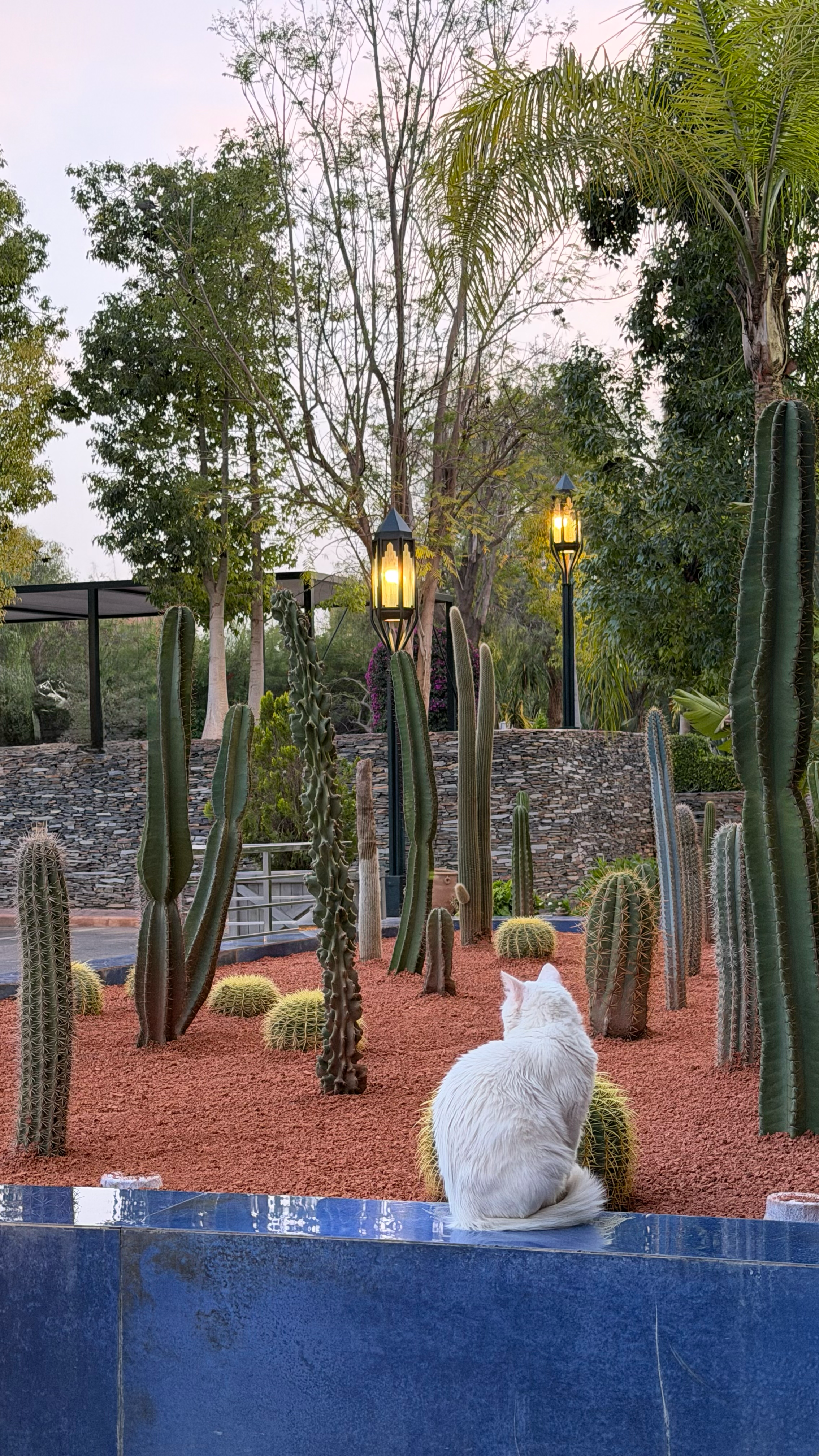Marrakech — photo 1