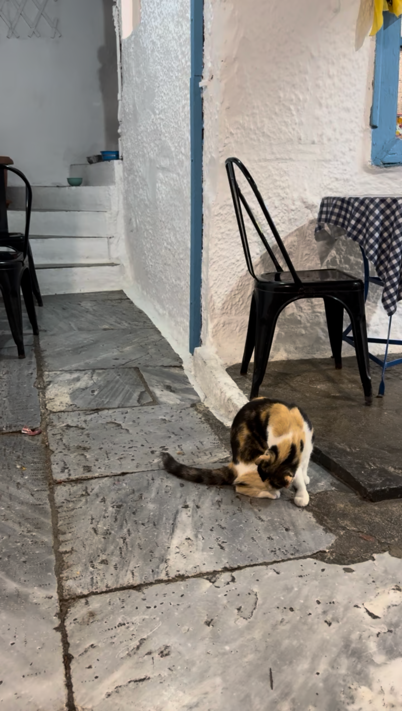 Grèce — photo 5