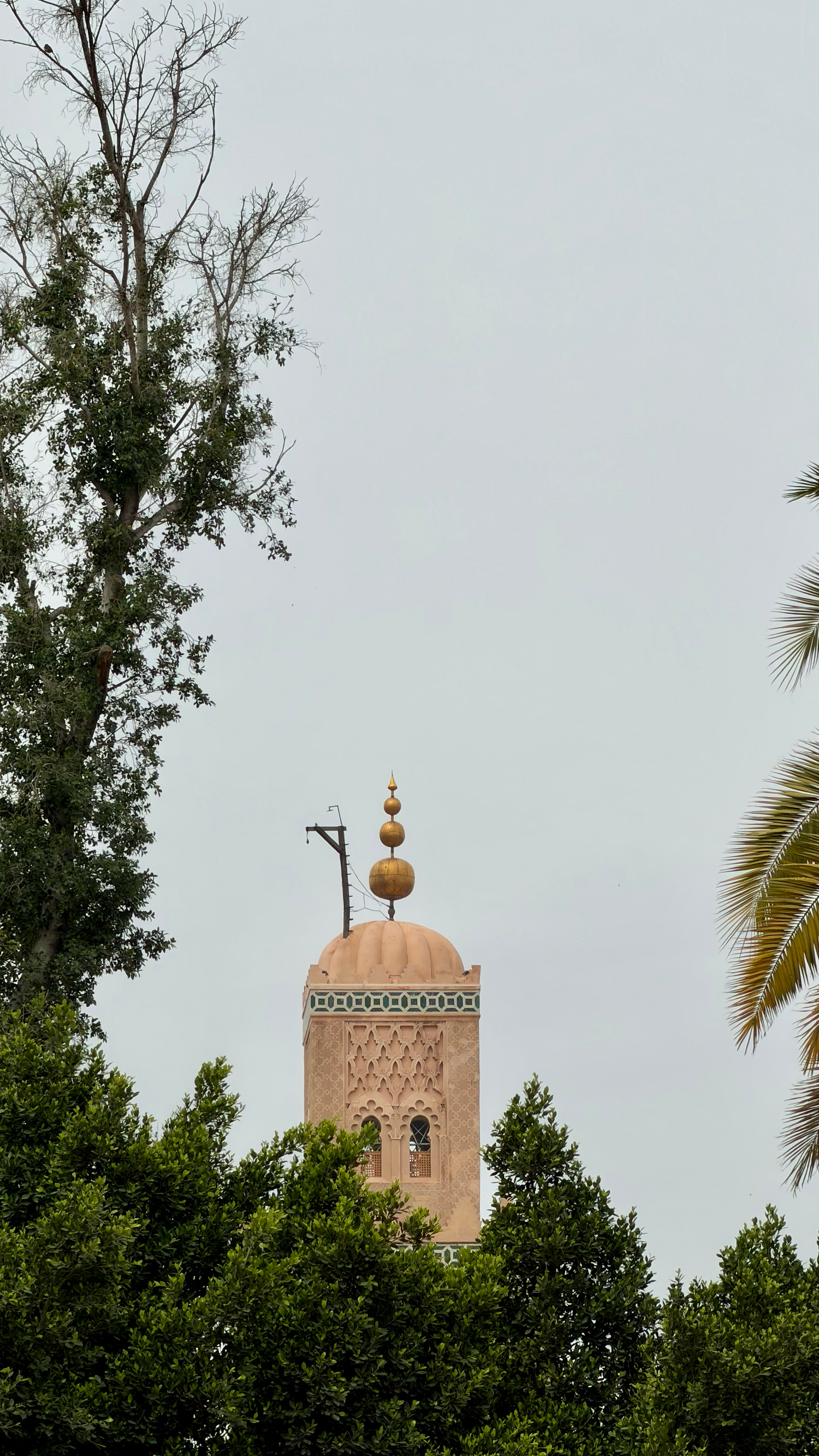 Marrakech — photo 13